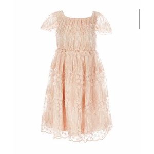 Little Girls 6X Sequin 3D-Floral Embroidered Mesh A-Line Dress